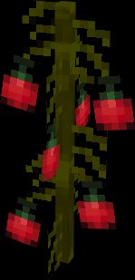 Tomato Plant 2