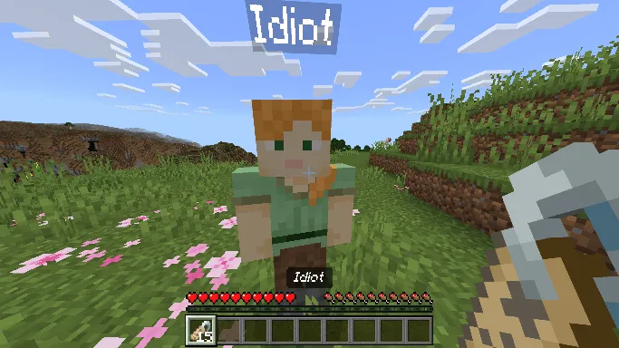 Nameable Players screenshot №2