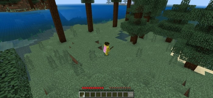 More Camera Perspectives screenshot №17