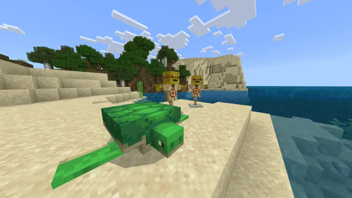 Turtle and dummies on a sandy beach.