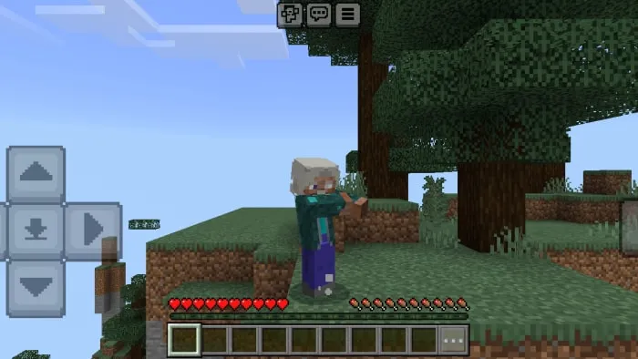 Upgrade Lite: Iron Skin screenshot №2