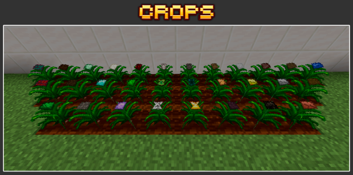 All Crops: Screenshot
