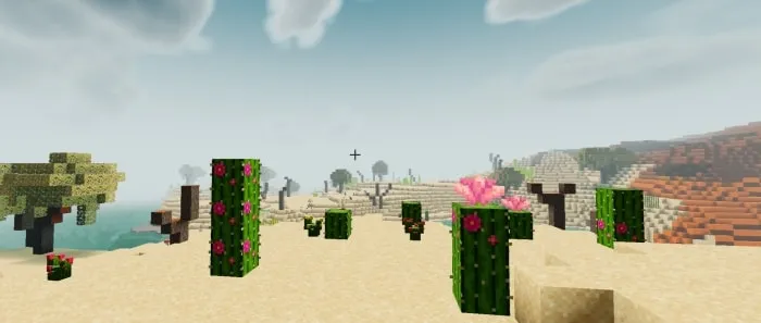 Desert Oasis: Screenshot 2