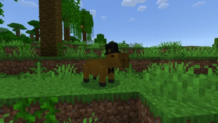 Pet Capybara: Screenshot 2