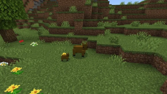 Wild Capybara: Screenshot 1