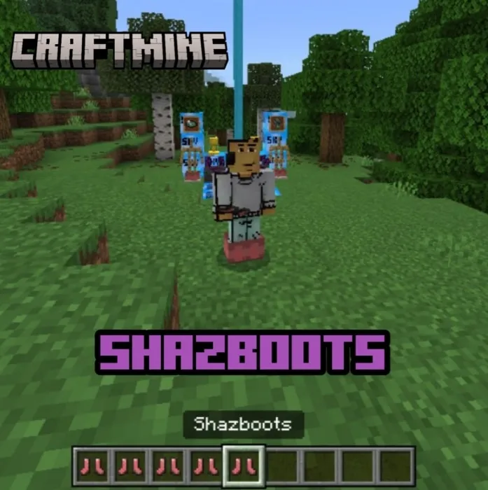 Shazboots: Screenshot