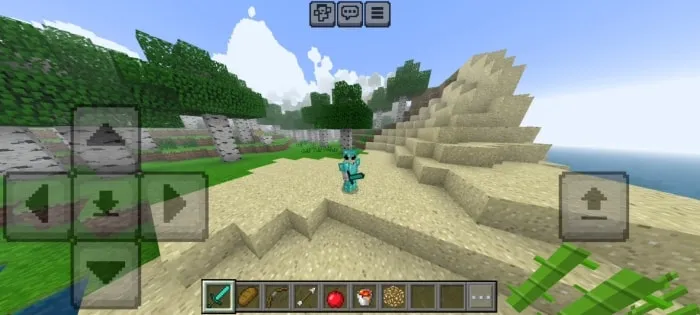 Minecraft Alpha Simulator: Screenshot 6