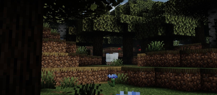 Newb X Reforged Shader: Screenshot 9