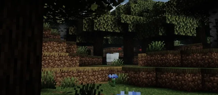 Newb X Reforged Shader: Screenshot 9