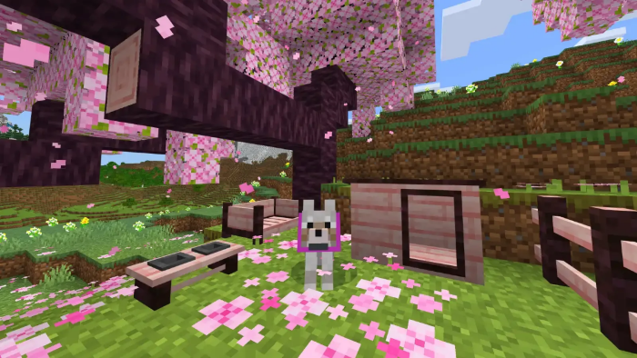Pet Furniture: Screenshot 1