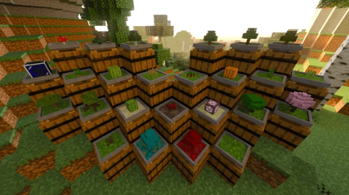 Bonsai Pots: Screenshot