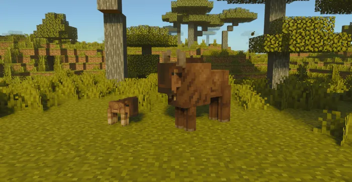 Gnus