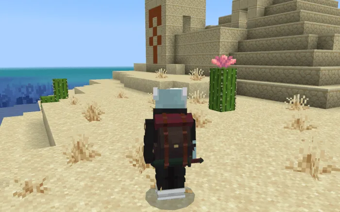 New Backpack: Screenshot