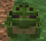 Toad: Screenshot 1