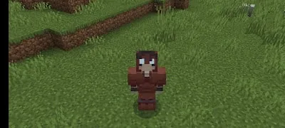 Player in brown armor stands on grassy field