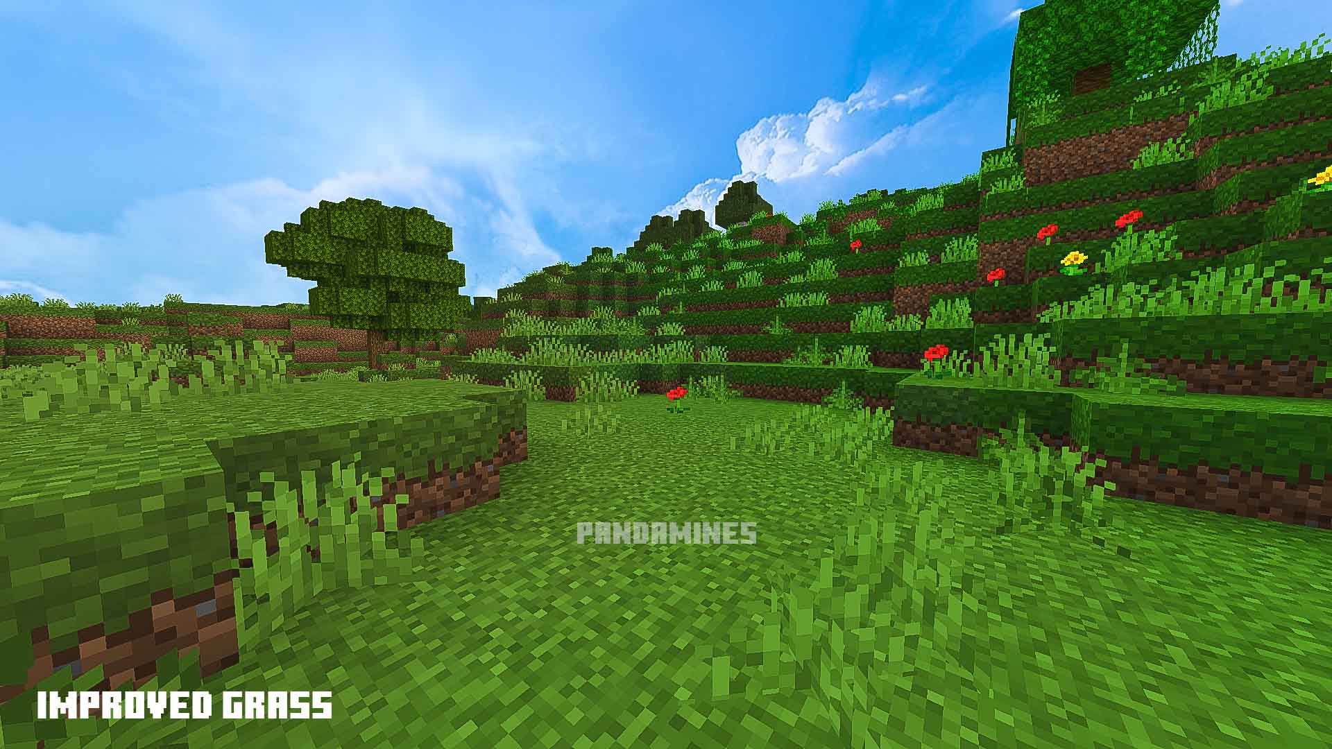 Enhanced grassy landscape with flowers.