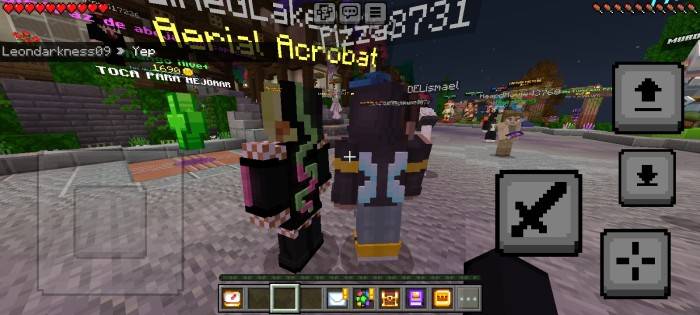 ThreeD Player Skin screenshot №6