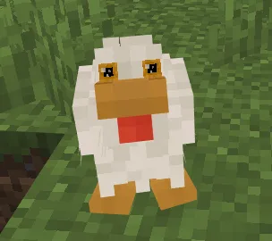 Chicken standing on grass.