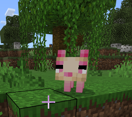 More Vanilla Animals+ Foxes screenshot №8