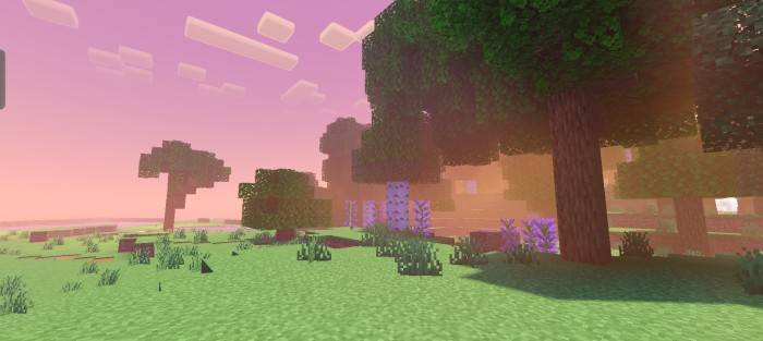 NEWB X SHADOW screenshot 6