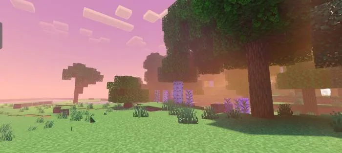 NEWB X SHADOW screenshot 6