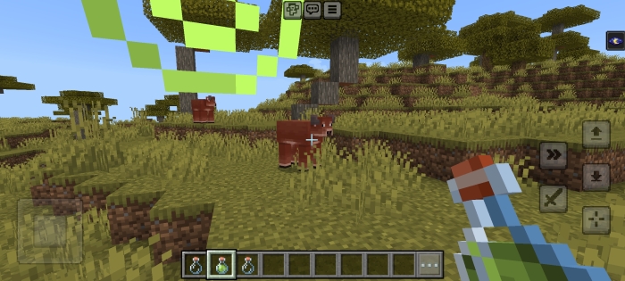 Player holding potion in savanna biome.