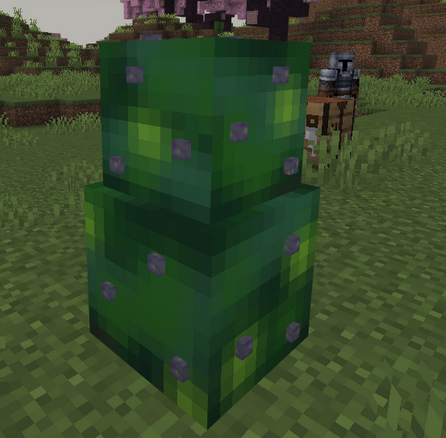 Grape Bush & Raspberry Bushes: Screenshot