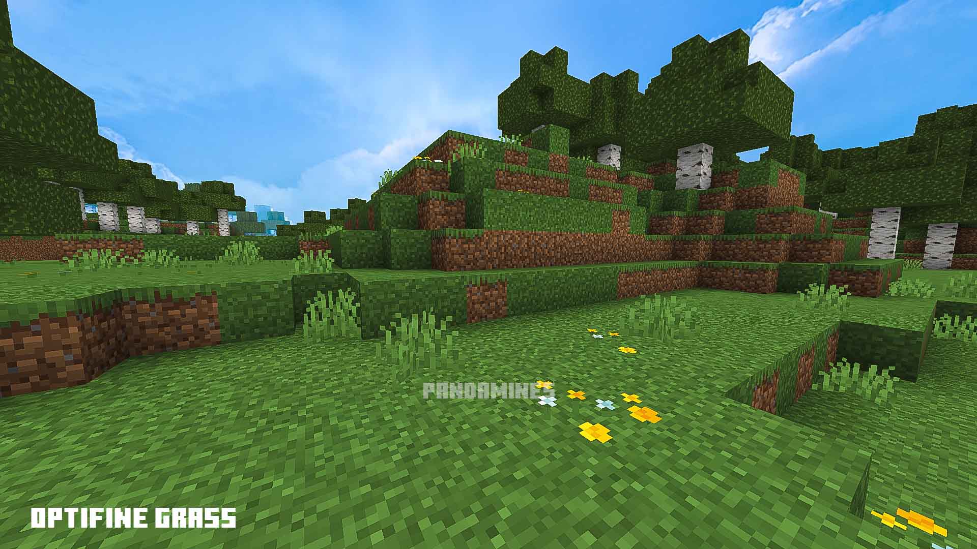 Lush grassy landscape with birch trees.