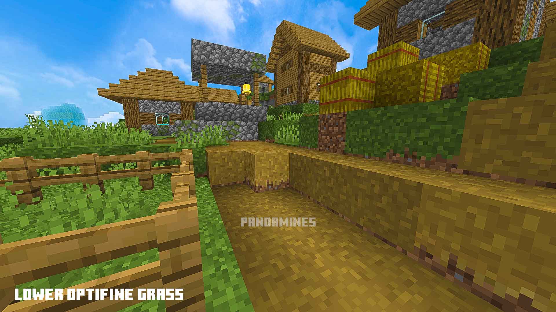 Blocky village with enhanced grass textures.