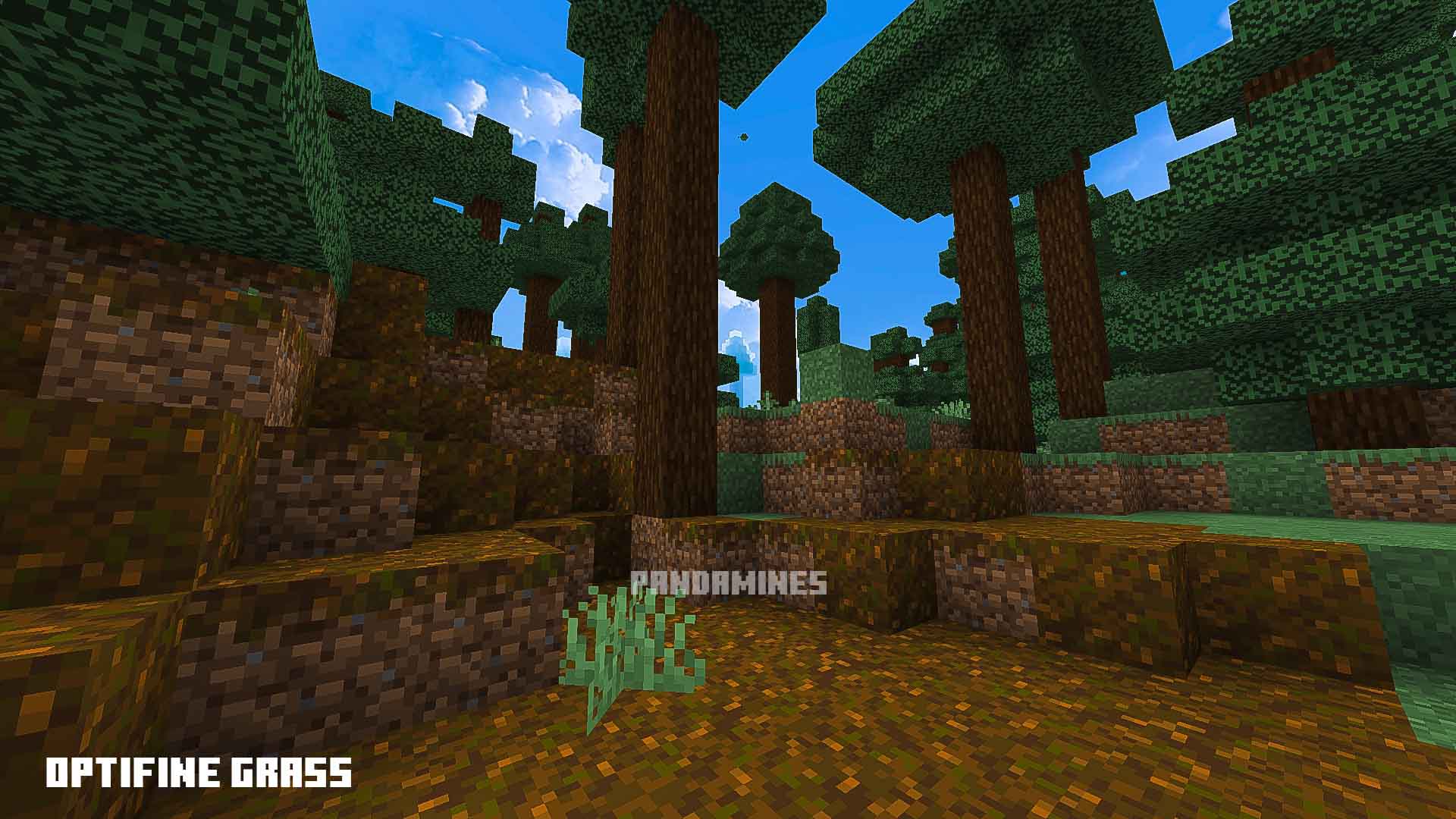 Blocky forest with varied grass textures.