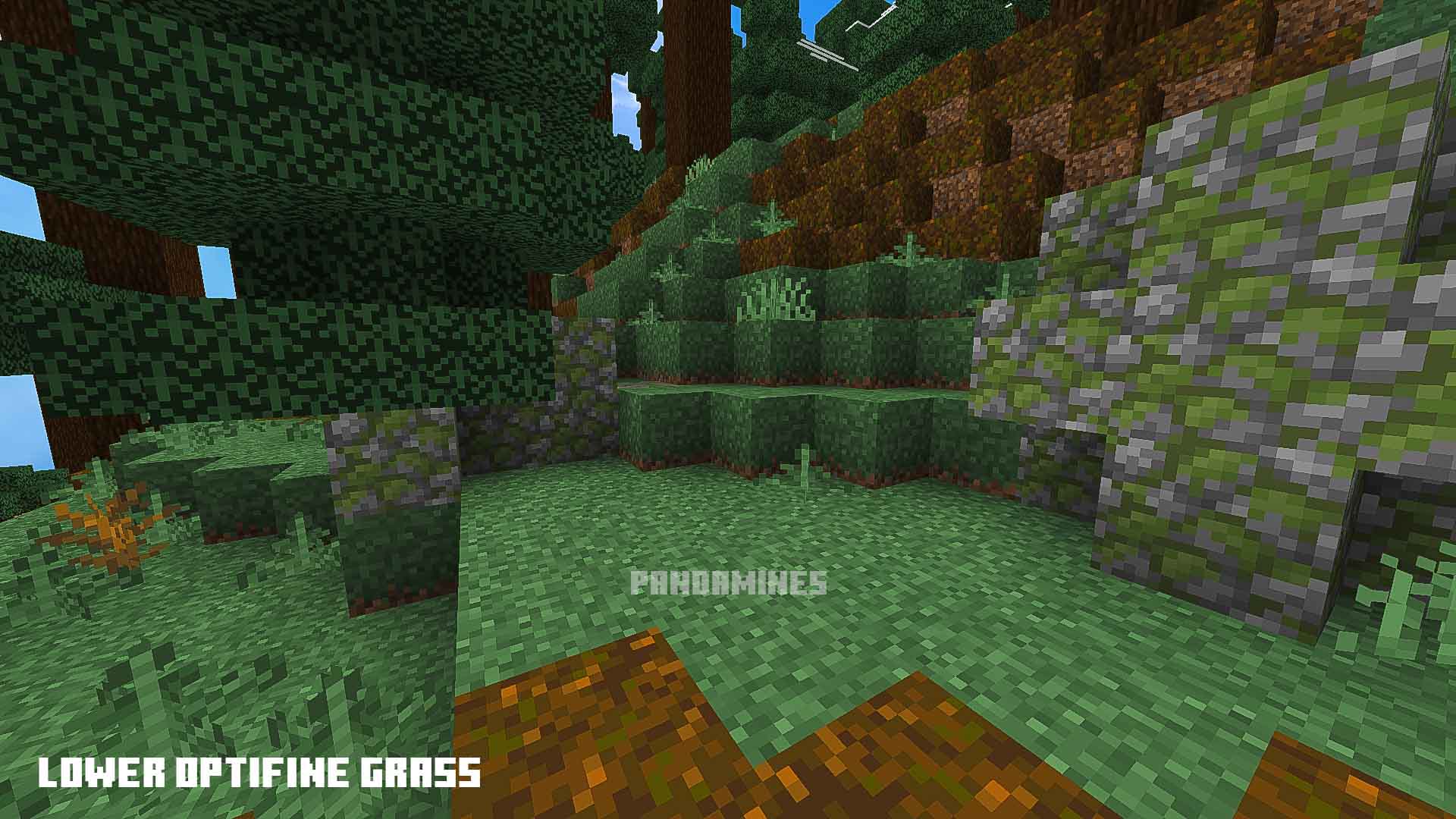 Enhanced grass texture with variations.