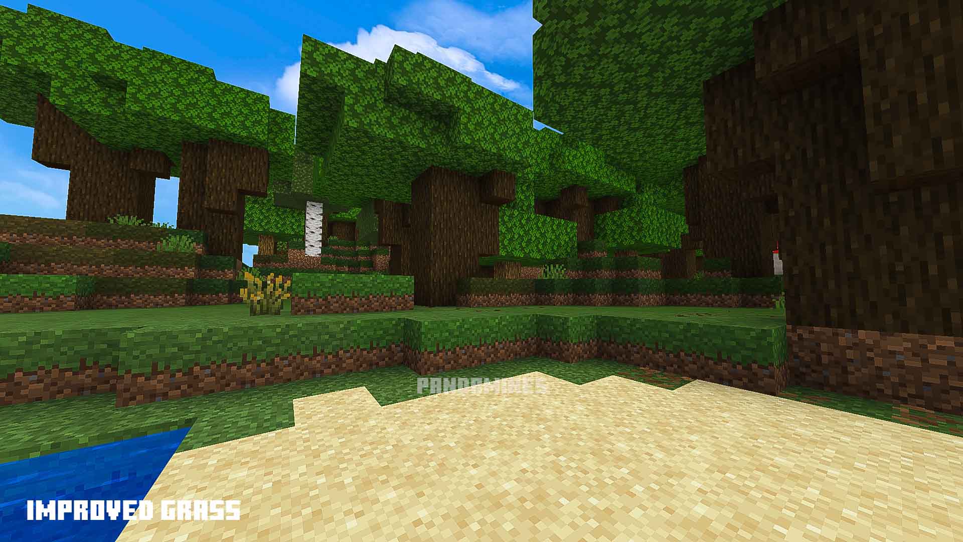 Enhanced grass texture in a forest.