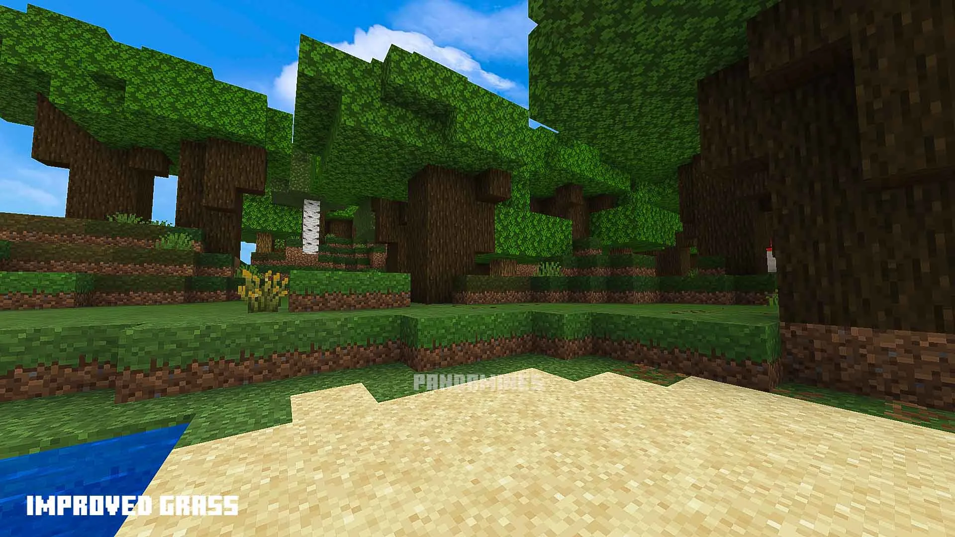 Enhanced grass texture in a forest.
