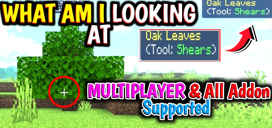 Thumbnail: SWAILA - Simple Where Am I Looking At