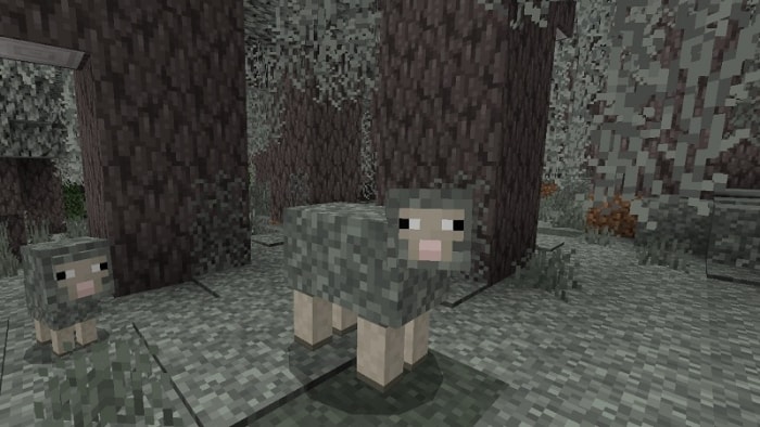 Pale Mossheep