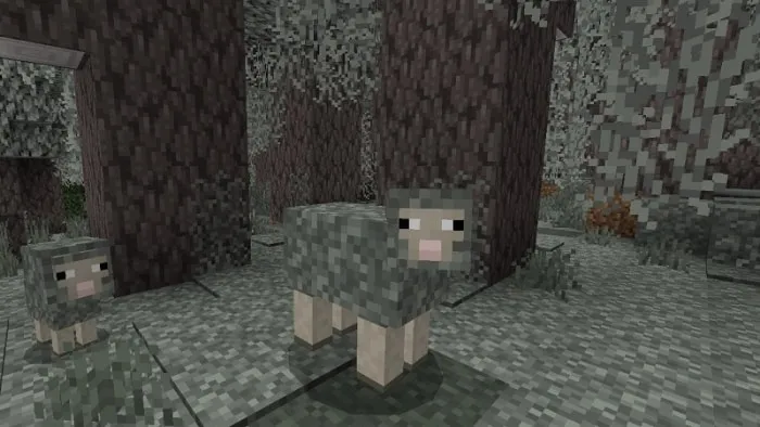 Pale Mossheep