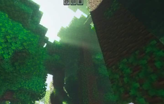 Sunlight filtering through blocky trees.