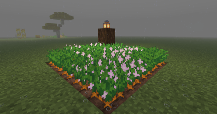 La Nature by Carrot screenshot №41