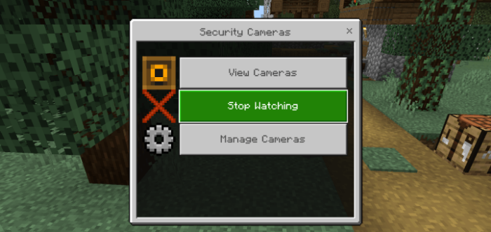 Security Cameras screenshot №9