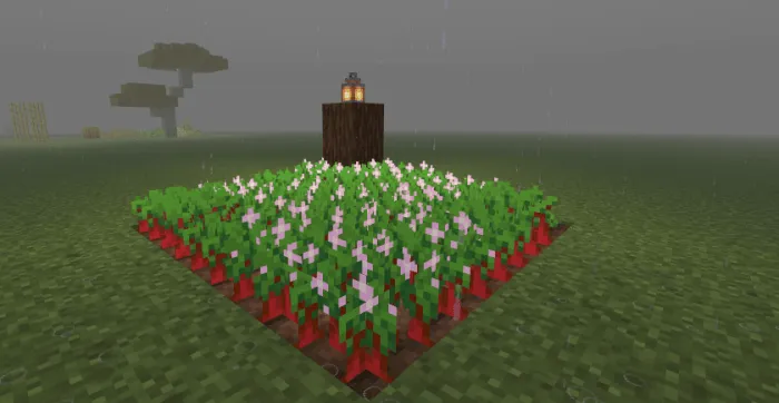 La Nature by Carrot screenshot №42
