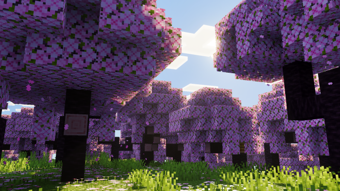 Luminous Dreams 11