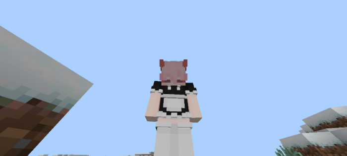 ThreeD Player Skin screenshot №3