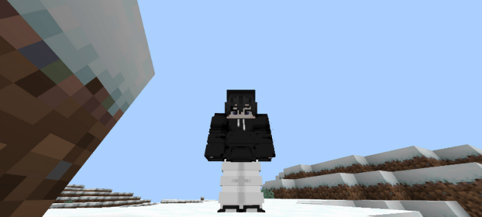 ThreeD Player Skin screenshot №5