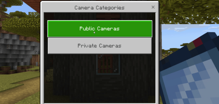Security Cameras screenshot №6