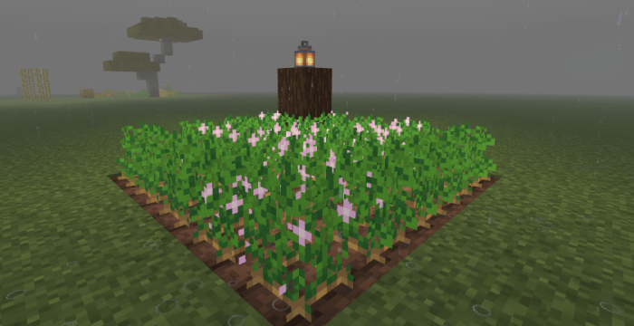 La Nature by Carrot screenshot №40