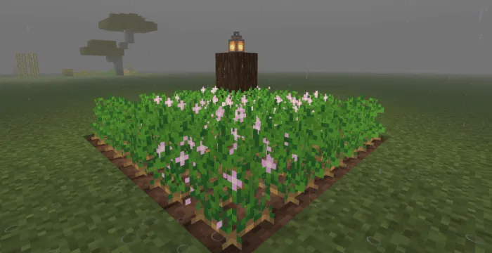 La Nature by Carrot screenshot №40
