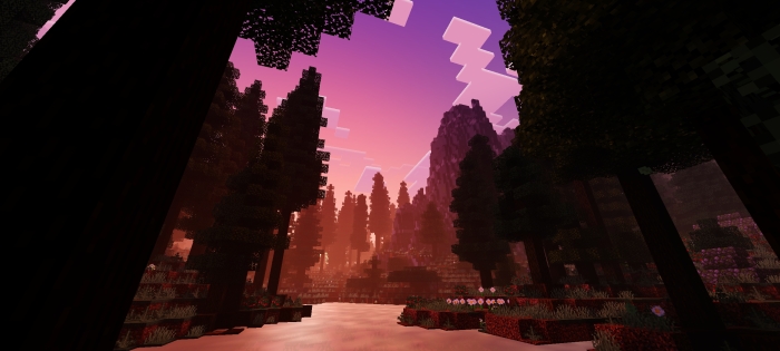 NEWB x FLAMINGO screenshot 9