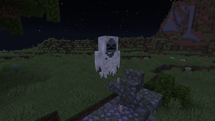 Wraith