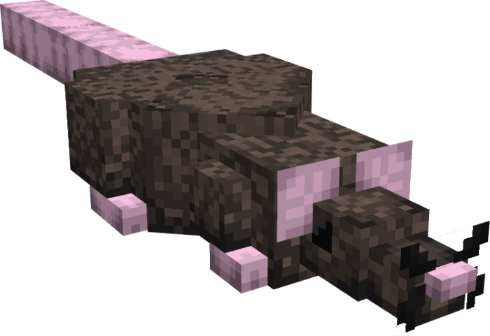 Codangs Rat screenshot №21