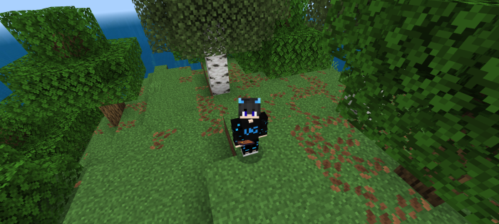 Currency Bedrock screenshot №1